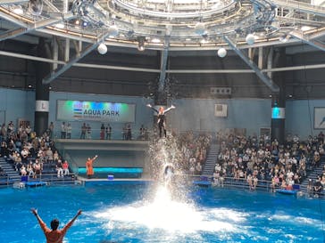 マクセル アクアパーク品川に投稿された画像（2021/6/20）