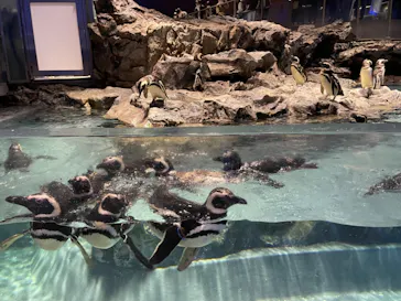 すみだ水族館に投稿された画像（2021/6/20）
