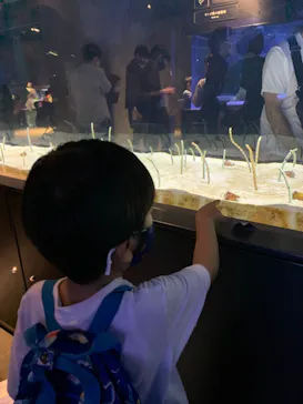 すみだ水族館に投稿された画像（2021/6/20）