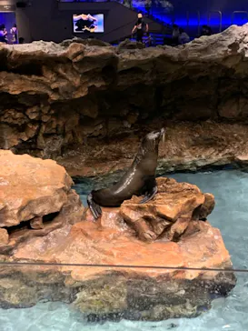 すみだ水族館に投稿された画像（2021/6/20）