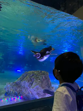 すみだ水族館に投稿された画像（2021/6/20）