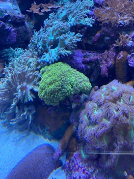 サンシャイン水族館に投稿された画像（2021/6/20）