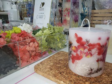 ずこうしつ〜sugamo〜に投稿された画像（2021/6/20）