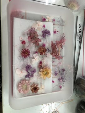 ずこうしつ〜sugamo〜に投稿された画像（2021/6/20）