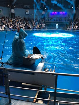 マクセル アクアパーク品川に投稿された画像（2021/6/20）