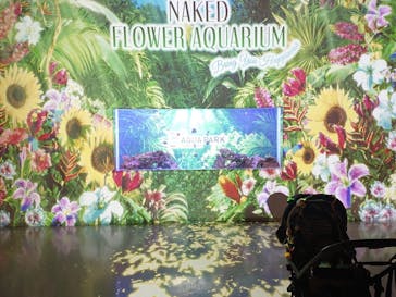 マクセル アクアパーク品川に投稿された画像（2021/6/20）