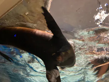 すみだ水族館に投稿された画像（2021/6/20）