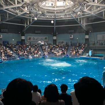 マクセル アクアパーク品川に投稿された画像（2021/6/20）