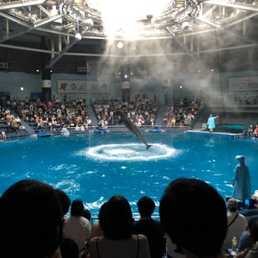 マクセル アクアパーク品川に投稿された画像（2021/6/20）