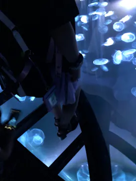 すみだ水族館に投稿された画像（2021/6/20）