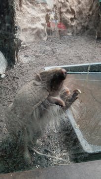 カワスイ 川崎⽔族館に投稿された画像（2021/6/20）