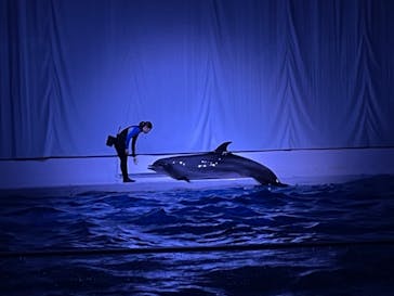 アクアワールド茨城県大洗水族館に投稿された画像（2021/6/20）