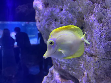 すみだ水族館に投稿された画像（2021/6/20）