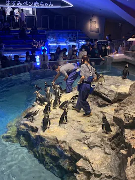 すみだ水族館に投稿された画像（2021/6/20）