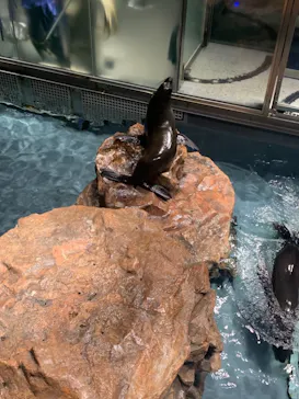 すみだ水族館に投稿された画像（2021/6/20）