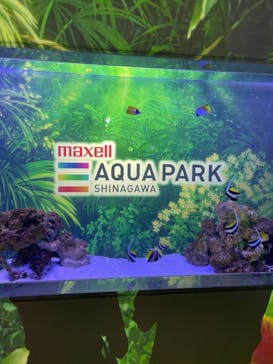 マクセル アクアパーク品川に投稿された画像（2021/6/20）
