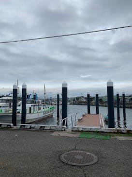 釣り船 進丸に投稿された画像（2021/6/20）