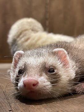 HARRY　横浜中華街店に投稿された画像（2021/6/20）