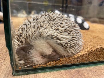 HARRY　横浜中華街店に投稿された画像（2021/6/20）