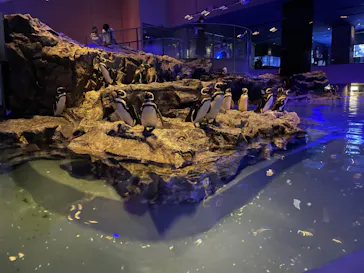 すみだ水族館に投稿された画像（2021/6/20）