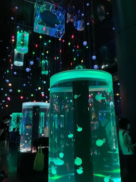 マクセル アクアパーク品川に投稿された画像（2021/6/20）