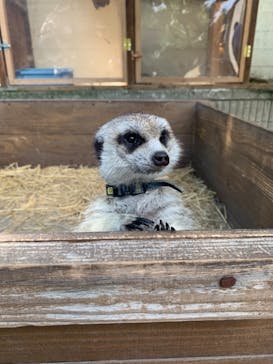 しろとり動物園に投稿された画像（2021/6/20）