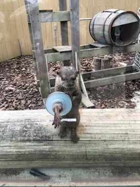 横浜・八景島シーパラダイスに投稿された画像（2021/6/20）