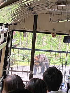 サホロリゾート　ベア･マウンテンに投稿された画像（2021/6/20）