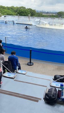 京都水族館に投稿された画像（2021/6/21）