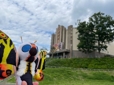 西武園ゆうえんちに投稿された画像（2021/6/21）