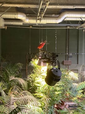 カワスイ 川崎⽔族館に投稿された画像（2021/6/21）