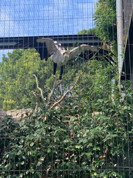 東武動物公園に投稿された画像（2021/6/21）