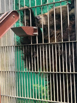 東武動物公園に投稿された画像（2021/6/21）