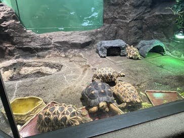 サンシャイン水族館に投稿された画像（2021/6/21）