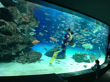 サンシャイン水族館に投稿された画像（2021/6/21）