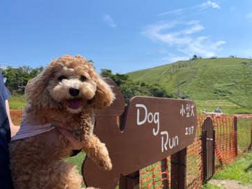 びわ湖バレイに投稿された画像（2021/6/21）