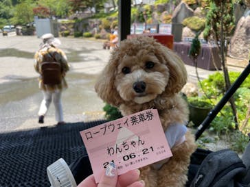 びわ湖バレイに投稿された画像（2021/6/21）