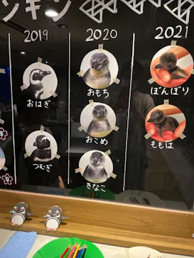 すみだ水族館に投稿された画像（2021/6/21）