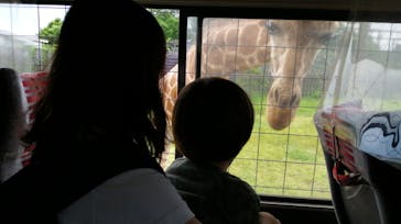 那須サファリパークに投稿された画像（2021/6/21）