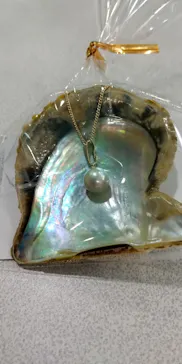 横浜・八景島シーパラダイスに投稿された画像（2021/6/22）