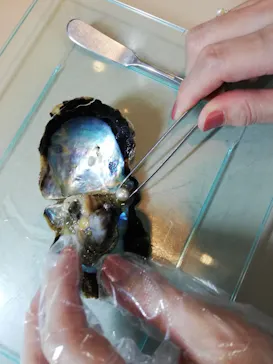 横浜・八景島シーパラダイスに投稿された画像（2021/6/22）