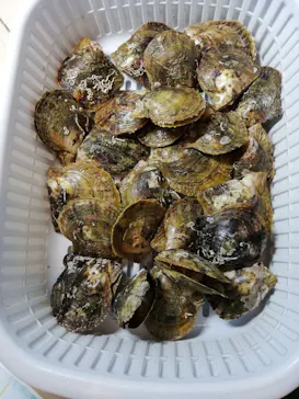 横浜・八景島シーパラダイスに投稿された画像（2021/6/22）