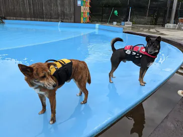 わんダフルネイチャーヴィレッジに投稿された画像（2021/6/22）