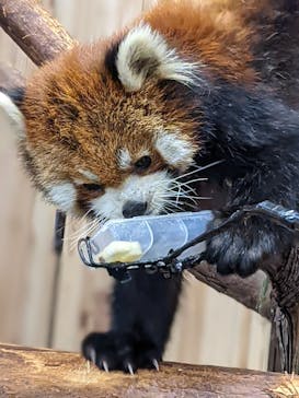 伊豆シャボテン動物公園に投稿された画像（2021/6/22）