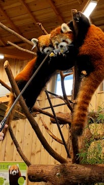 伊豆シャボテン動物公園に投稿された画像（2021/6/22）