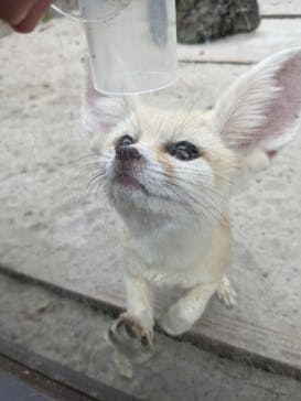 伊豆シャボテン動物公園に投稿された画像（2021/6/22）