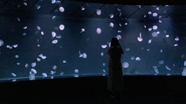 サンシャイン水族館に投稿された画像（2021/6/22）