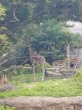 天王寺動物園に投稿された画像（2021/6/22）