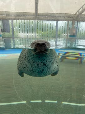 京都水族館に投稿された画像（2021/6/22）