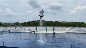 京都水族館に投稿された画像（2021/6/22）